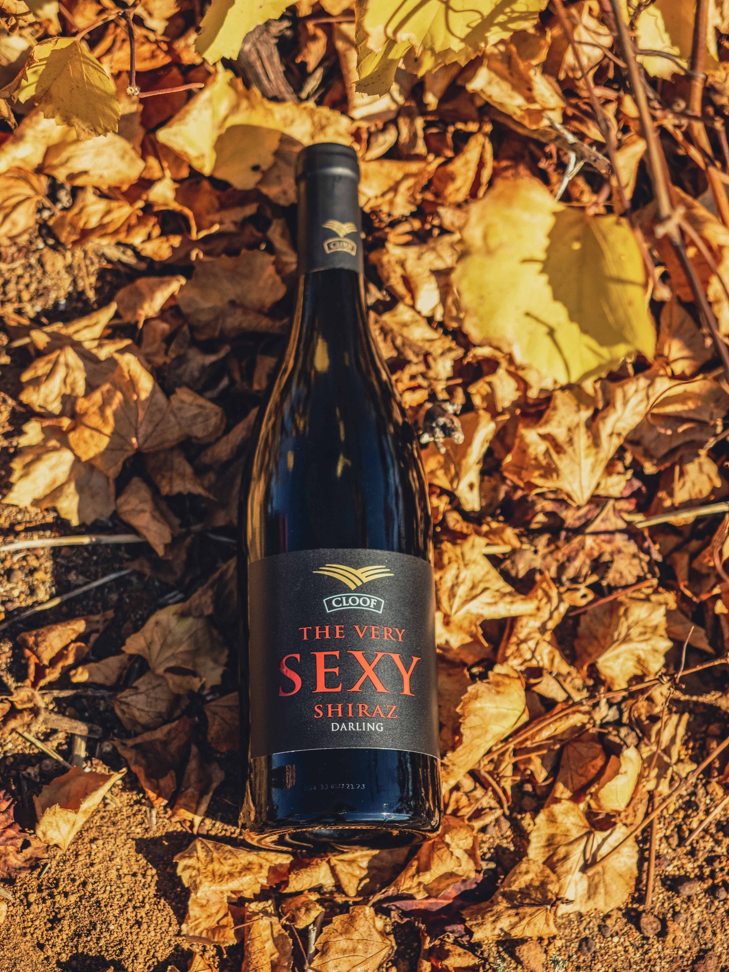 The Very Sexy Shiraz