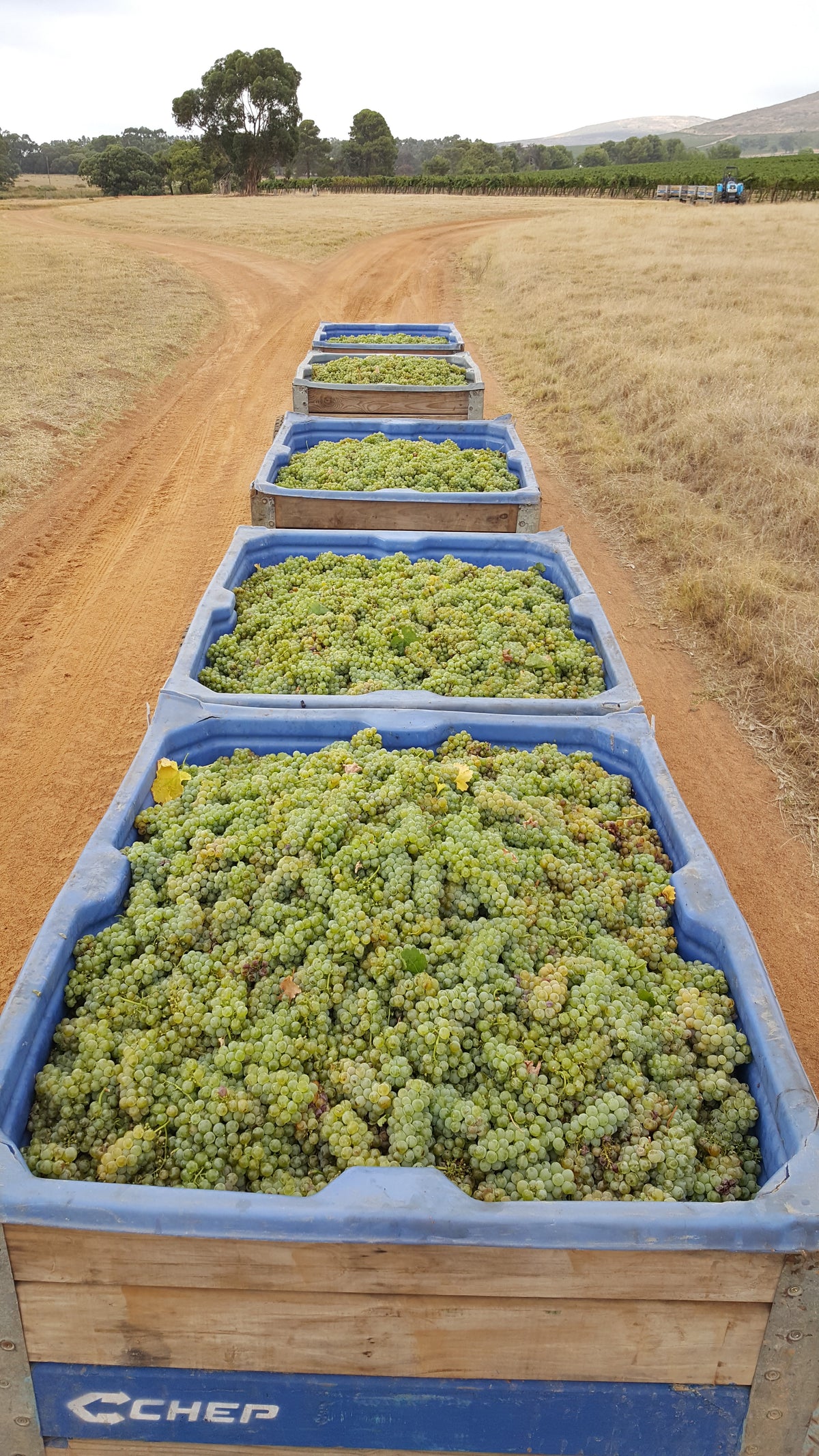Cloof Wine Estate