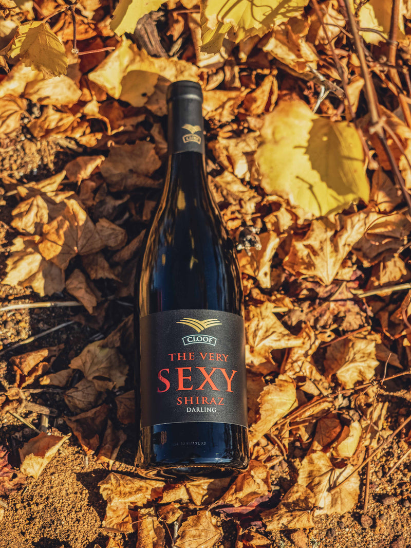 The Very Sexy Shiraz