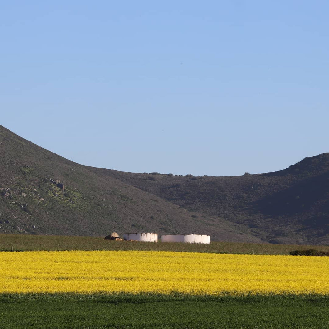 About – Cloof Wine Estate