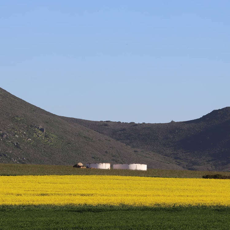 About – Cloof Wine Estate