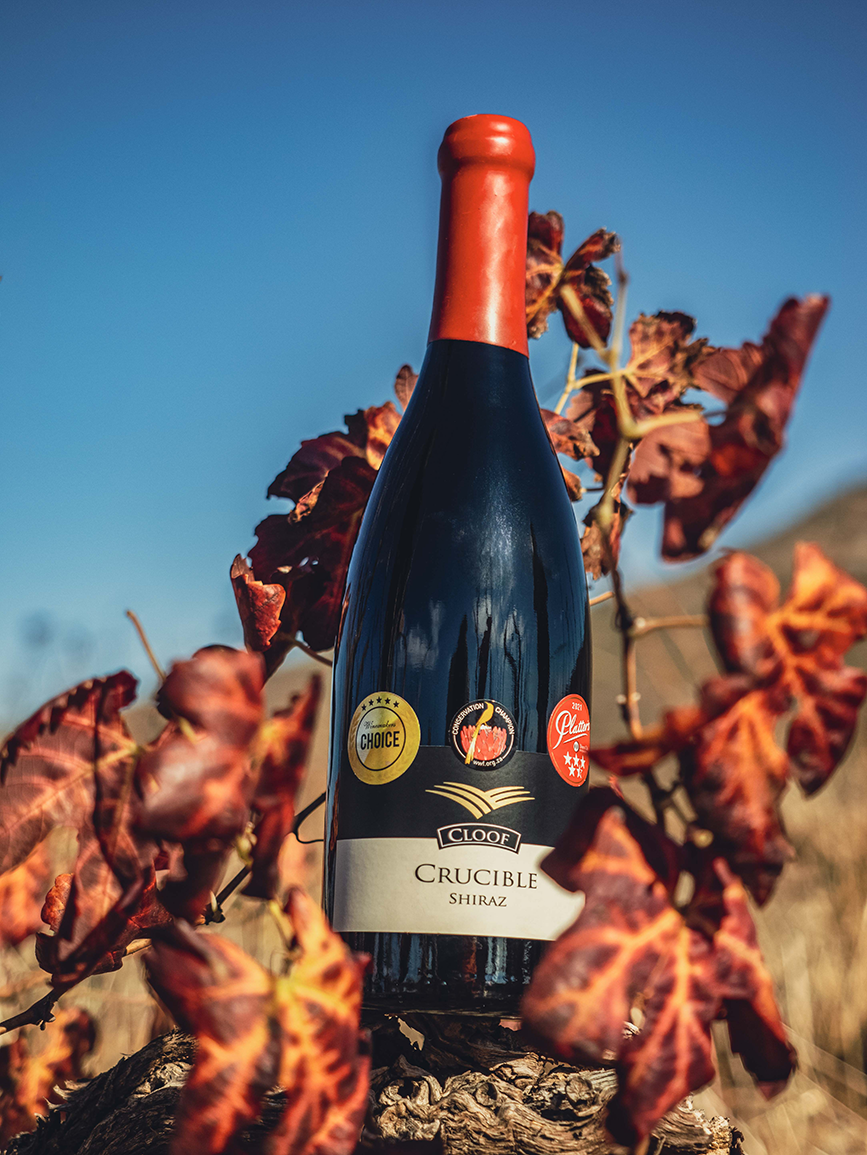 Cloof Wine Estate