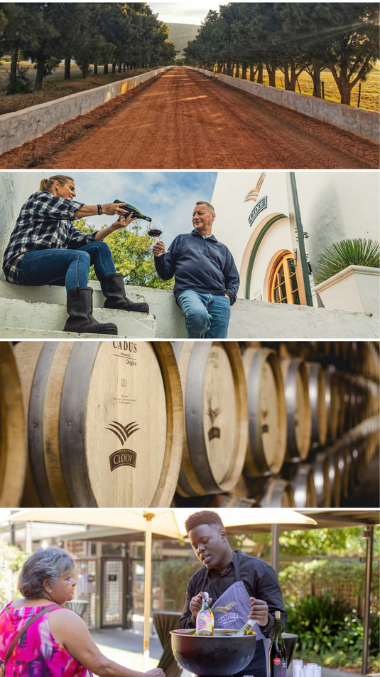 Cloof Wine Estate